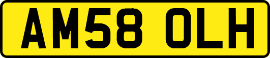 AM58OLH