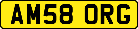 AM58ORG