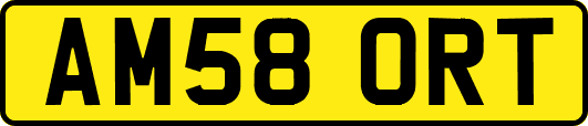 AM58ORT