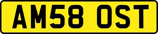 AM58OST