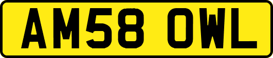 AM58OWL