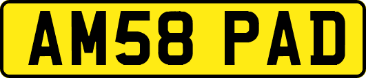 AM58PAD
