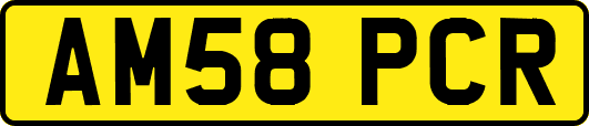 AM58PCR