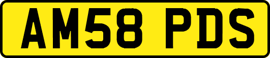 AM58PDS