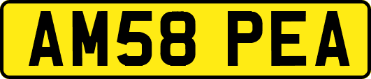 AM58PEA