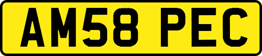 AM58PEC