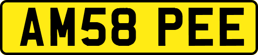 AM58PEE