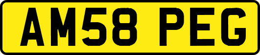AM58PEG