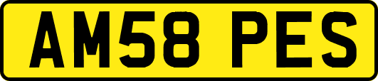 AM58PES