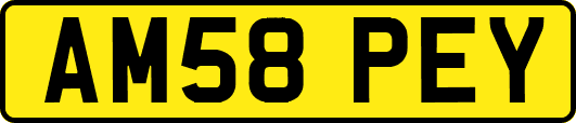 AM58PEY