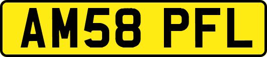 AM58PFL