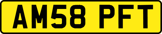 AM58PFT