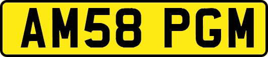AM58PGM