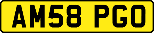 AM58PGO