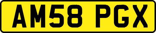 AM58PGX