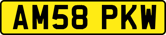 AM58PKW
