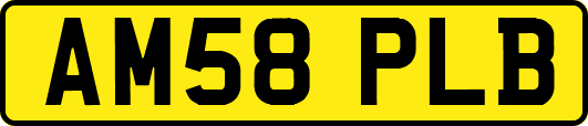 AM58PLB