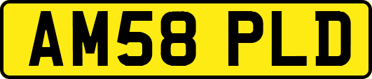AM58PLD