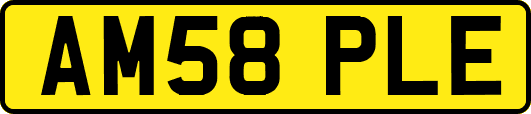 AM58PLE