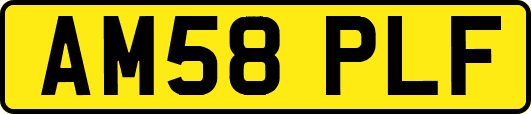 AM58PLF