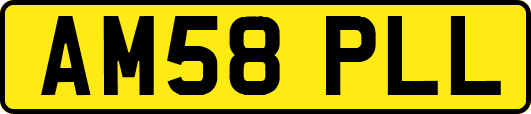 AM58PLL