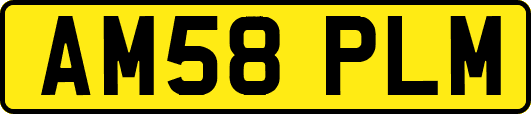 AM58PLM