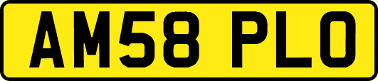 AM58PLO