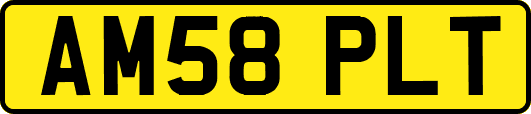AM58PLT