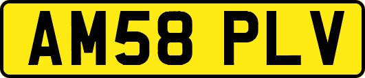 AM58PLV