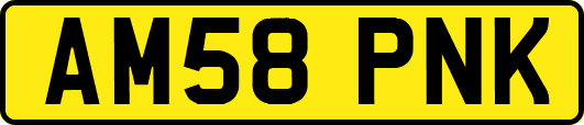 AM58PNK