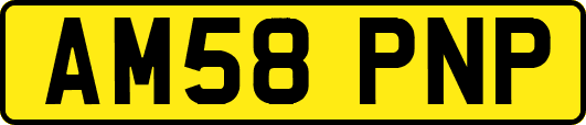 AM58PNP