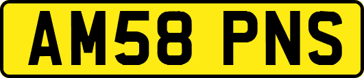 AM58PNS