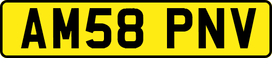 AM58PNV