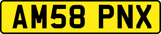 AM58PNX