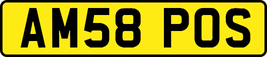 AM58POS