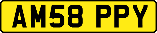 AM58PPY