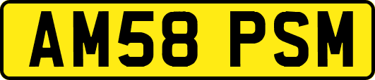 AM58PSM