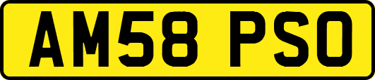 AM58PSO