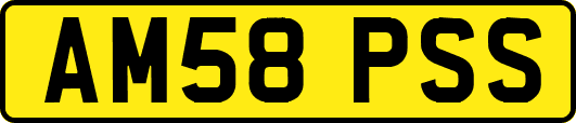 AM58PSS