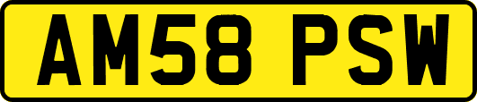 AM58PSW