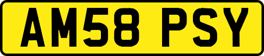 AM58PSY