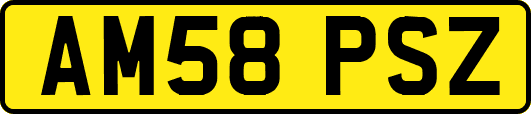 AM58PSZ