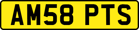 AM58PTS