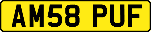AM58PUF