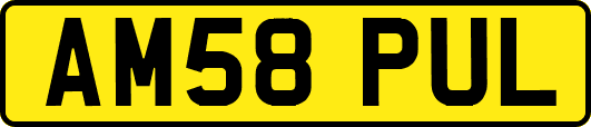 AM58PUL