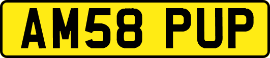 AM58PUP