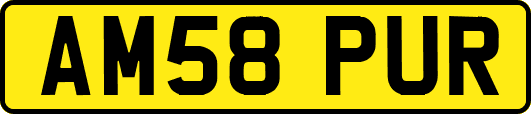 AM58PUR
