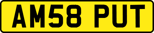 AM58PUT