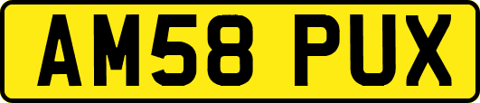 AM58PUX