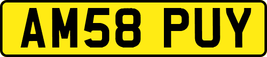 AM58PUY